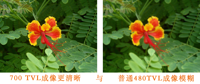 管道潜望镜效果图